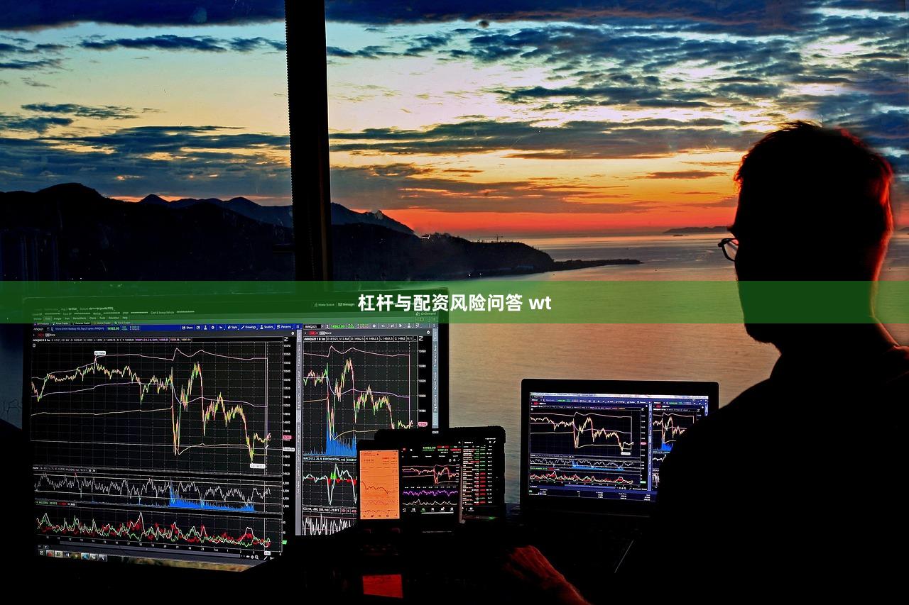 杠杆与配资风险问答 wt