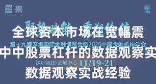 全球资本市场在宽幅震荡周期中中股票杠杆的数据观察实战经验